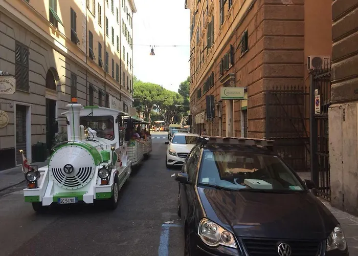 Acciuga